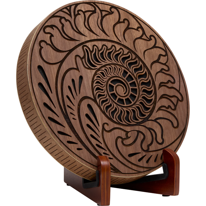 Meinl Sonic Energy Raindisk 10in Ocean sound Fibbonaci inspired