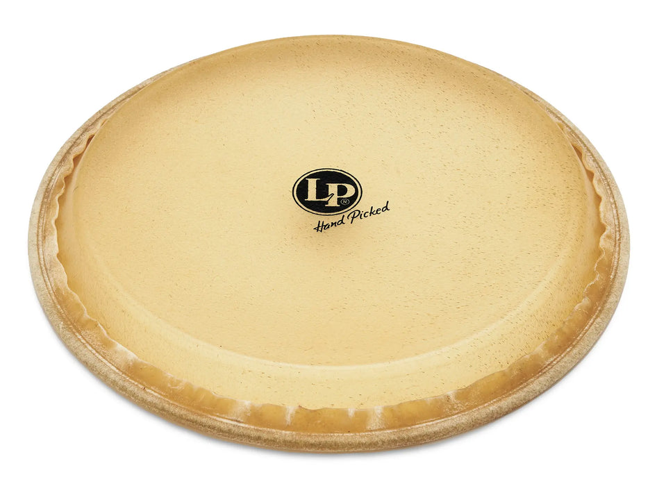LP Conga Rawhide Head 11in