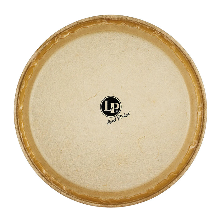 LP MTD Rawhide Conga Head, 11-3/4in