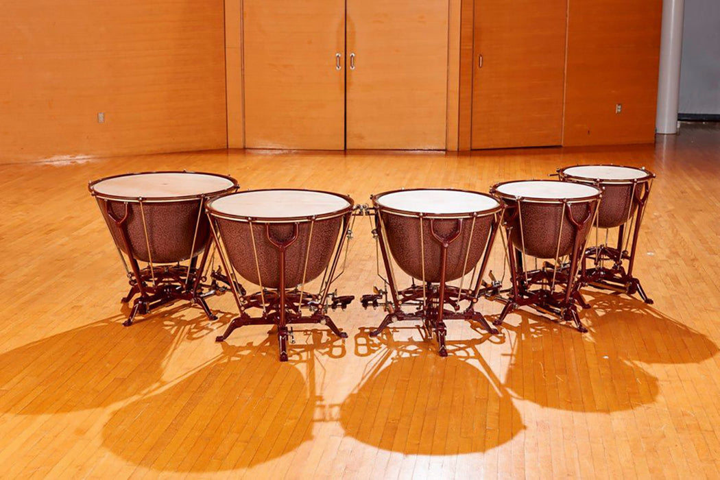 Adams Vintage Dresden timpani Kalfo heads no wheels 23-26-29-32in - german