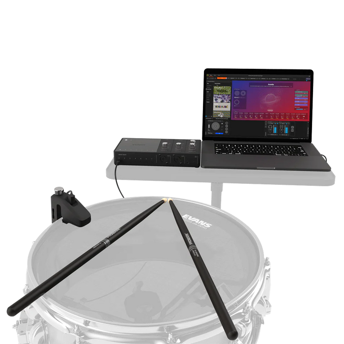 Evans Hybrid Sensory Starter 1