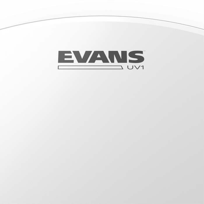 Evans UV1 Bass