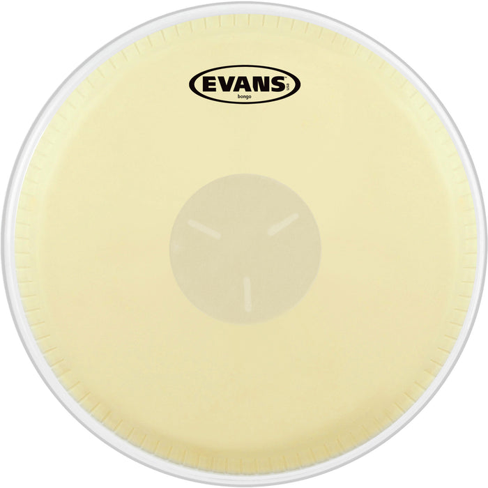 Evans Tri-Center Bongo Head 7.25in